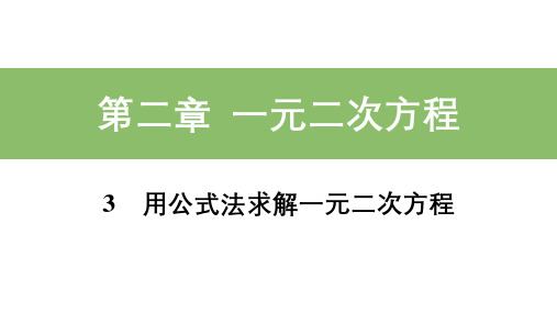 北师大版九年级数学上册_基础知识精练课件：3_第1课时_公式法与根的判别式