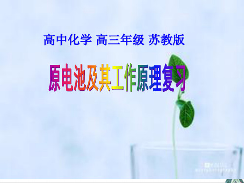 [优选]高考化学二轮复习-电化学复习公开课PPT