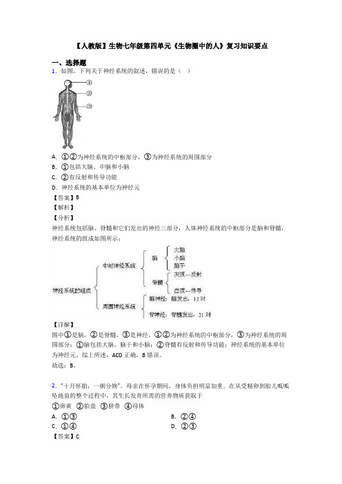 【人教版】生物七年级第四单元《生物圈中的人》复习知识要点