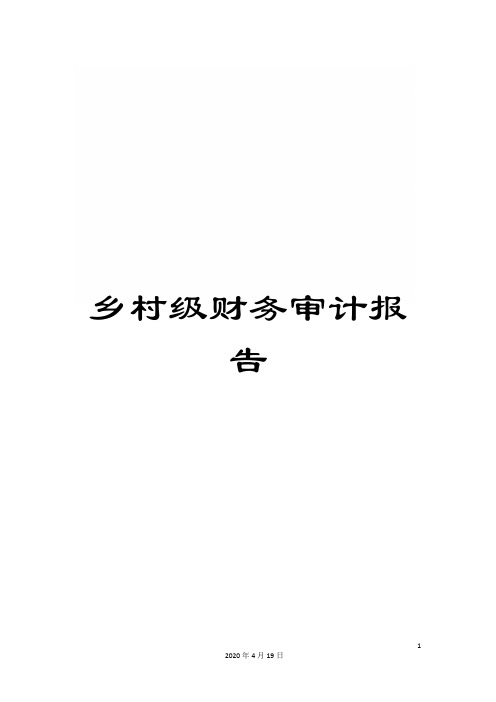 乡村级财务审计报告