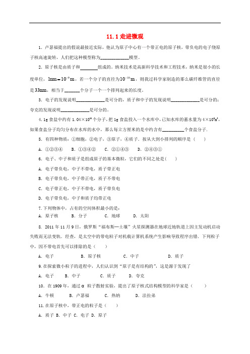 八年级物理全册 11.1 走进微观练习 (新版)沪科版