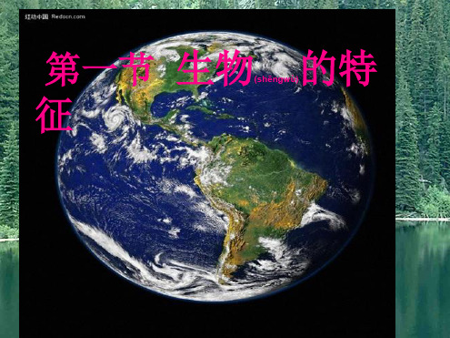 七年级上册生物第一章第一节生物的特征