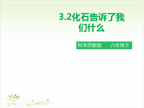 六年级下册科学-化石告诉了我们什么苏教版