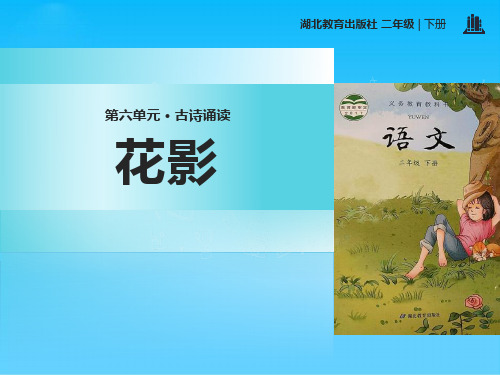 《花影》PPT