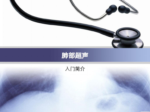 肺部超声学习笔记讲义 PPT