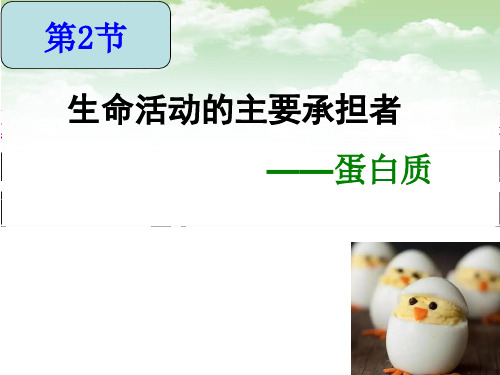 生命活动的主要承担者——蛋白质(优质课件)