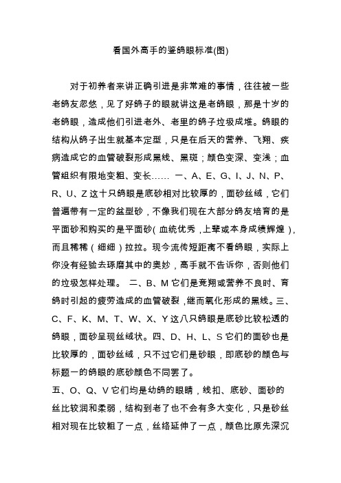 看国外高手的鉴鸽眼标准(图)