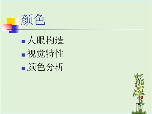 人眼视觉与颜色