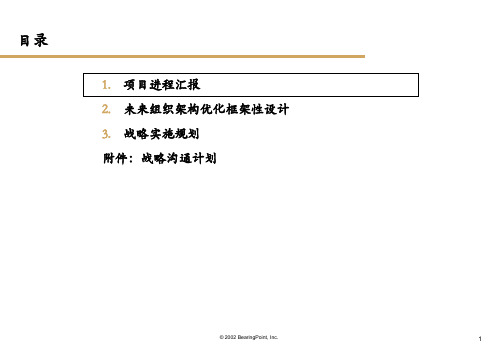 发展战略报告未来组织架构框架设计和战略实施规划