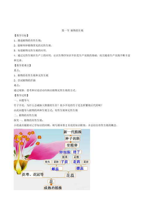 人教版生物八年级下册第一节 植物的生殖 教案(2)