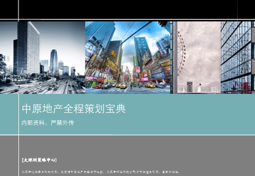 中原地产全程策划宝典4090e5a80ceb4e1b96e672cfe4a