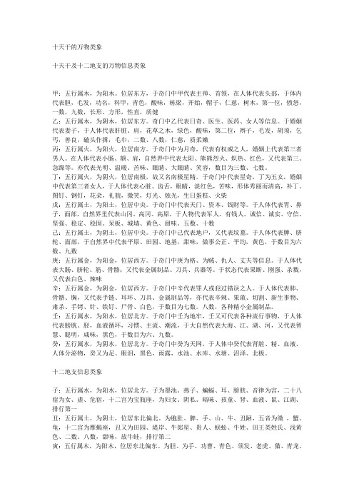 十天干及十二地支的万物信息类象