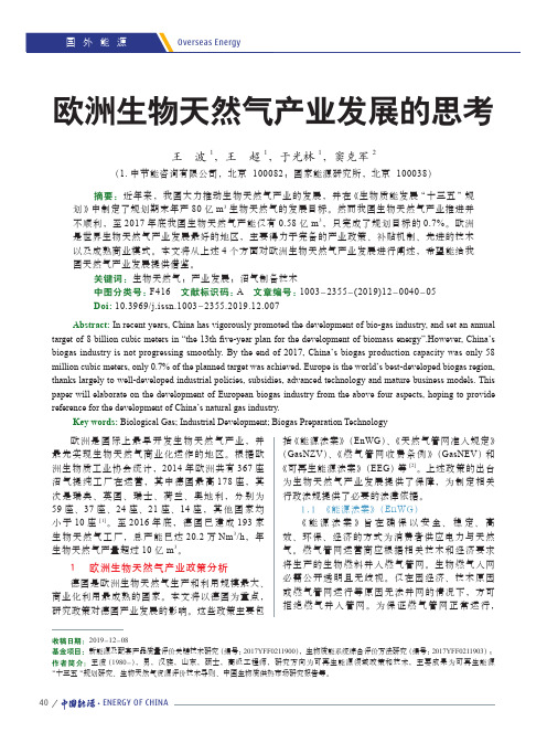 欧洲生物天然气产业发展的思考