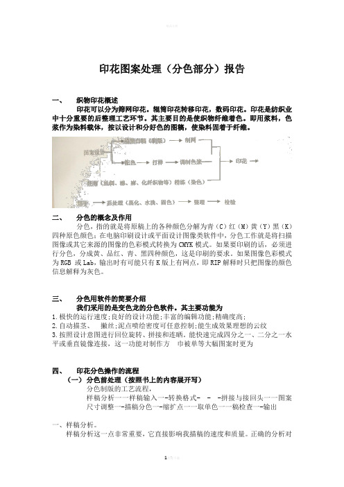 印花图案处理(分色部分)报告格式