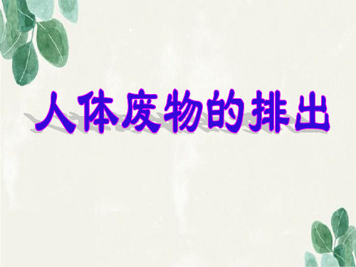 七年级生物下册第四单元生物圈中的人第十一章人体内的废物排入环境第二节人体废物的排出课件2(新版)苏教