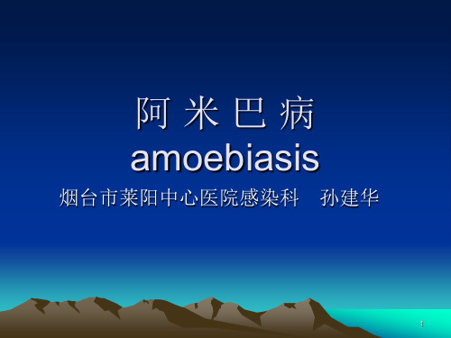 阿米巴PPT参考幻灯片