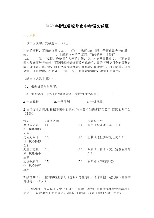 2020年浙江省湖州市中考语文试题 含答案