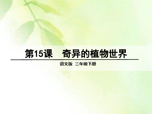 15奇异的植物世界