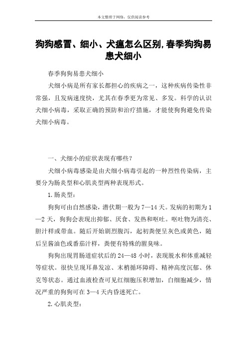狗狗感冒、细小、犬瘟怎么区别,春季狗狗易患犬细小