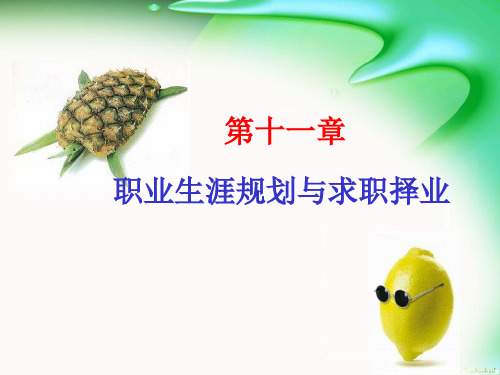第十二章 职业生涯规划与求职择业