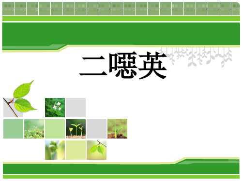 二恶英介绍(精装版)
