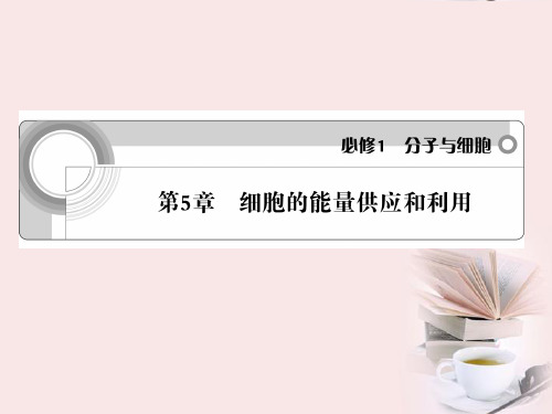 高考生物 第5章 细胞的能量供应和利用总复习课件 新人教版