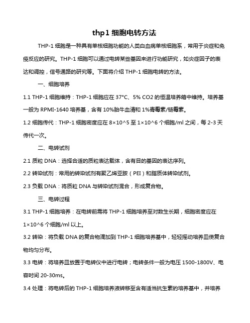 thp1细胞电转方法