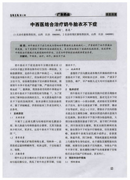 中西医结合治疗奶牛胎衣不下症