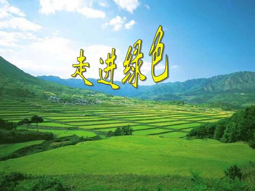22-《绿》-PPT课件1