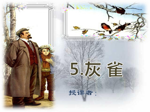 小学三年级语文上册《灰雀》.ppt