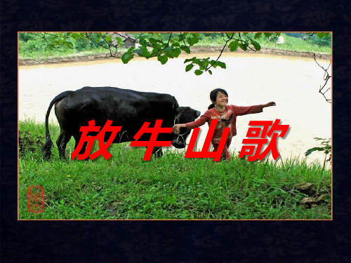 《放牛山歌》PPT课件