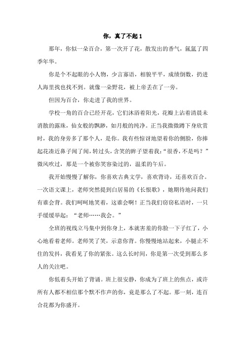 初中优秀作文中考作文《你真了不起》