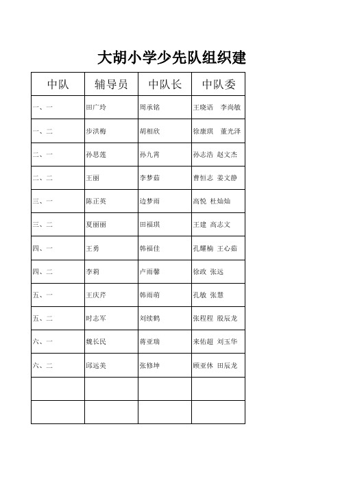 少先队一览表