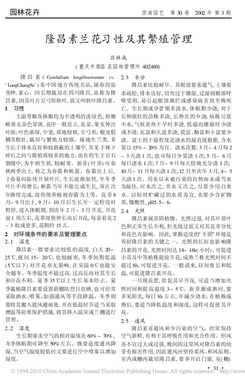 隆昌素兰花习性及其繁殖管理