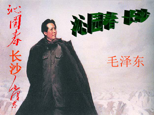 【精编】高中语文 第一专题 向青春举杯《沁园春 长沙》课件 苏教版必修1-精心整理