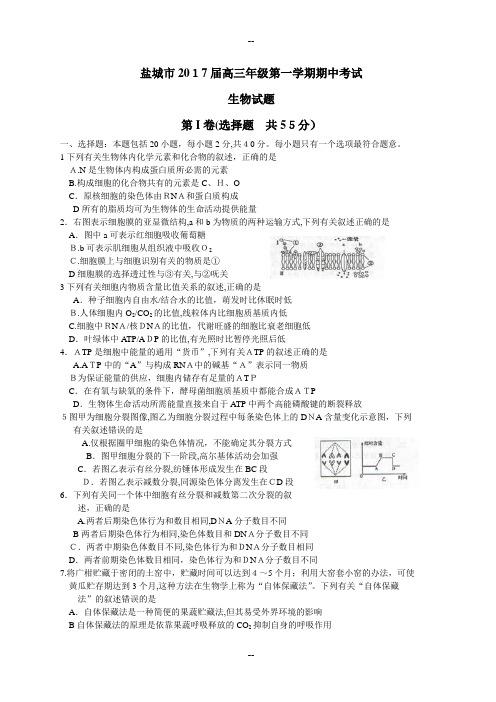 江苏省盐城市届高三上学期期中考试生物试题(word)