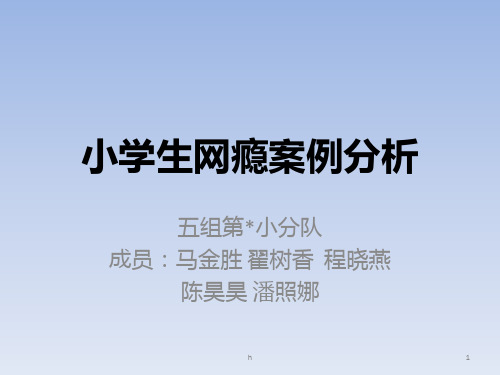 小学生网瘾案例分析PPT课件