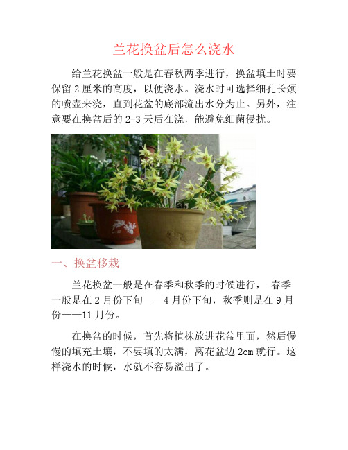 兰花换盆后怎么浇水