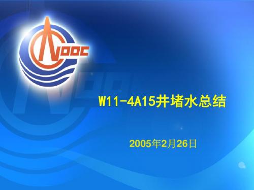 WZ-堵水汇报解析