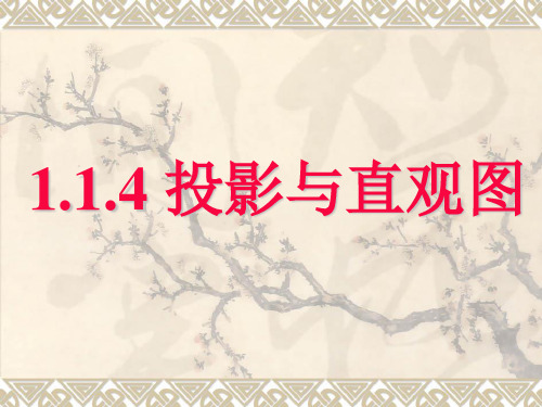 数学：1.1.4《投影与直观图》.