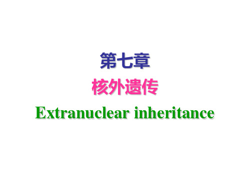 第七章 核外遗传