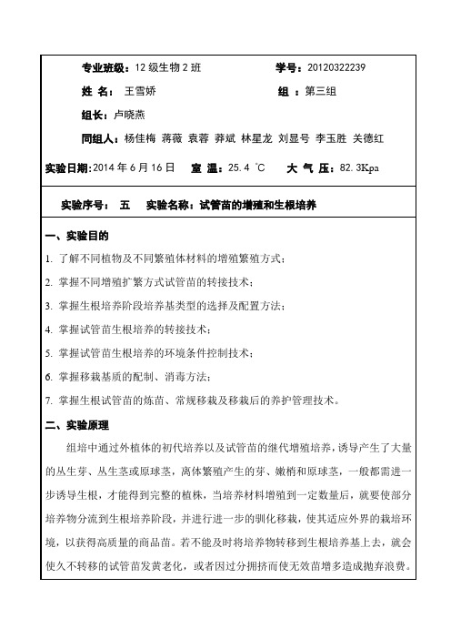 试管苗的增殖和生根培养