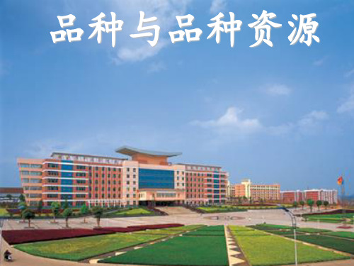 品种与品种资源