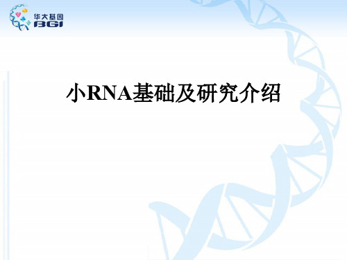 miRNA测序基础及研究介绍