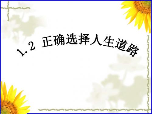 1.2正确选择人生道路