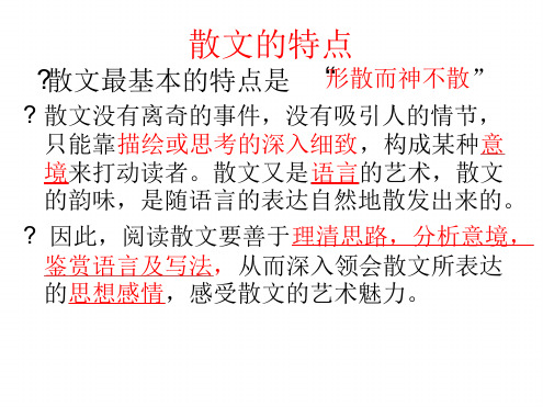 在母语的屋檐下分析[文字可编辑]