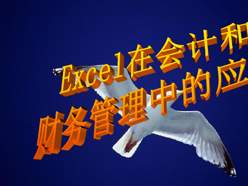 Excel在会计和财务管理中的应用概述