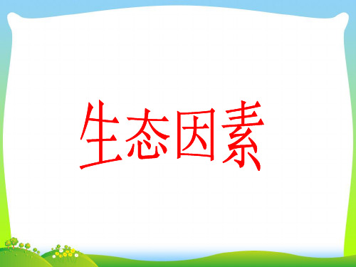 生态因素-课件