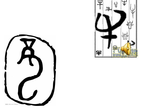 13象形字真奇妙终极版