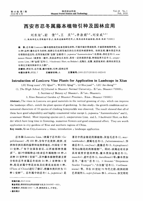 西安市忍冬属藤本植物引种及园林应用
